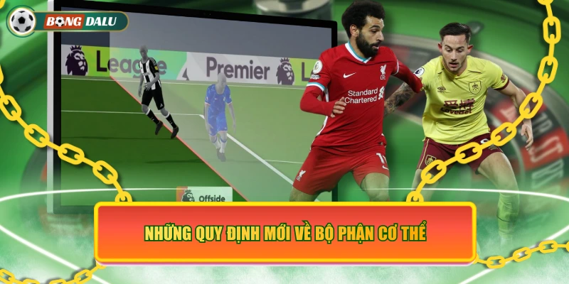 Những quy định mới về bộ phận cơ thể