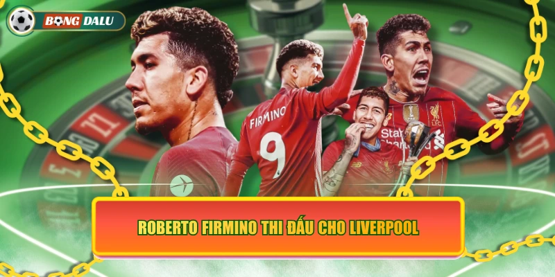 Roberto Firmino thi đấu cho Liverpool
